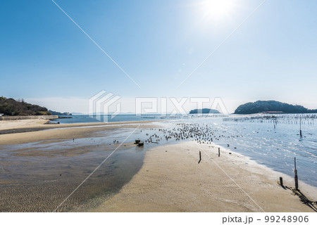 《愛知県》西尾市　干潮時の東幡豆海岸 99248906