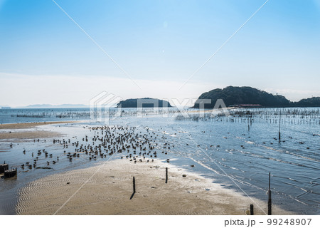 《愛知県》西尾市　干潮時の東幡豆海岸 99248907