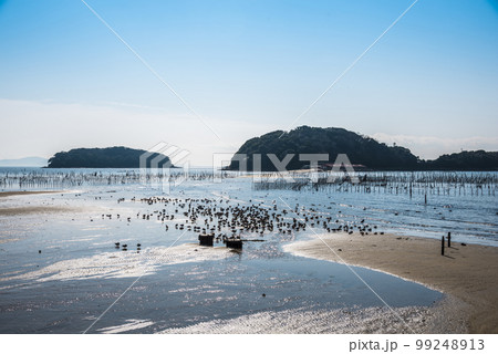 《愛知県》西尾市　干潮時の東幡豆海岸 99248913