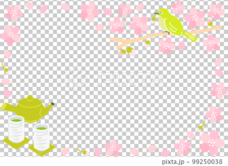 春櫻花(cherry blossom)白眼櫻花暴風雪茶 春櫻花(cherry blossom)白眼櫻花暴風雪茶 99250038
