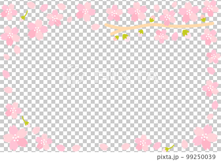 春天的櫻花 (sakura) 盛開框架 春天的櫻花 (sakura) 盛開框架 99250039