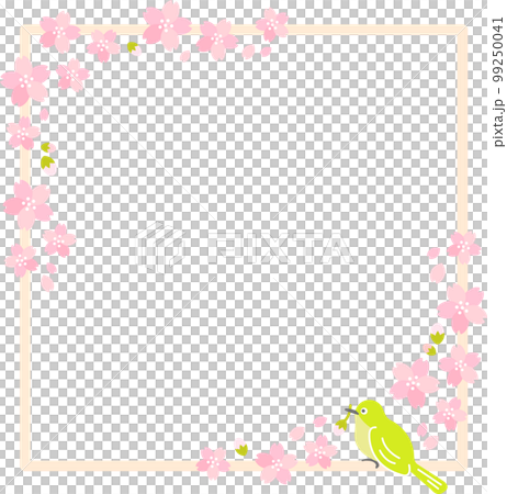 Spring Cherry Blossom (Sakura) 白眼櫻吹雪 Spring Cherry Blossom (Sakura) 白眼櫻吹雪 99250041