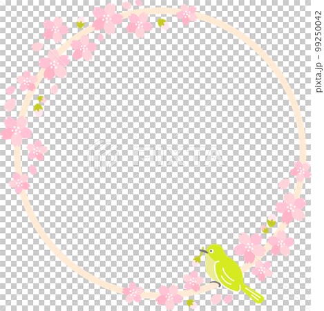 Spring Cherry Blossom (Sakura) 白眼櫻吹雪 Spring Cherry Blossom (Sakura) 白眼櫻吹雪 99250042