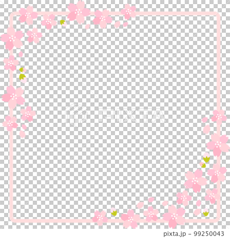 春天的櫻花 (sakura) 盛開框架 春天的櫻花 (sakura) 盛開框架 99250043