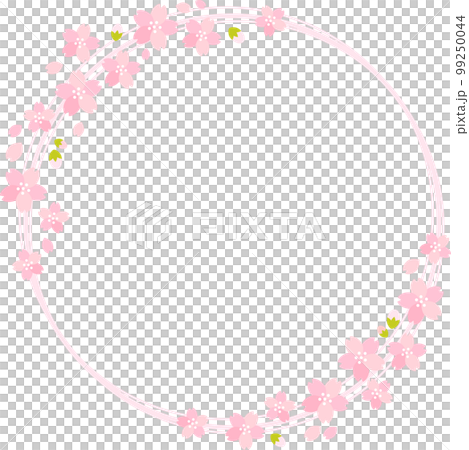 春天的櫻花 (sakura) 盛開框架 春天的櫻花 (sakura) 盛開框架 99250044
