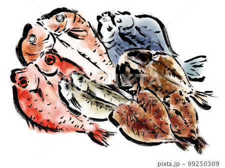 干物の描き筆書きイラストセット 99250309