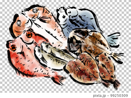 干物の描き筆書きイラストセット 99250309