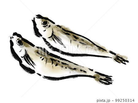 はたはたの干物の描き筆書きイラスト　干し魚 99250314