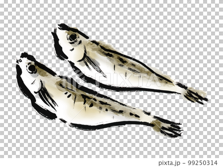 はたはたの干物の描き筆書きイラスト　干し魚 99250314