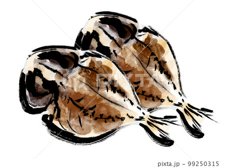 鯵の干物の描き筆書きイラスト　干し魚 99250315