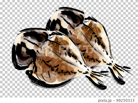 鯵の干物の描き筆書きイラスト　干し魚 99250315