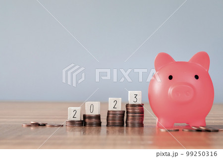 2023 on top stack of coins with gray background and copy space. saving money and financial plan concept for investment in new year 2023. pink piggy bank 2023 on top stack of coins with gray background and copy space. saving money and financial plan concept for investment in new year 2023. pink piggy bank 99250316