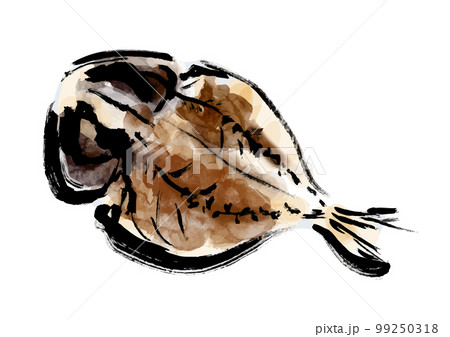 鯵の干物の描き筆書きイラスト　干し魚 99250318