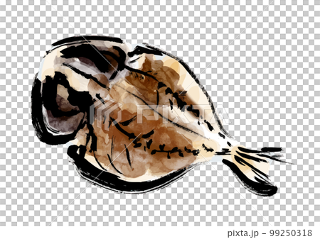 鯵の干物の描き筆書きイラスト　干し魚 99250318