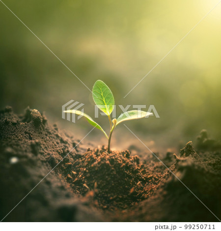 A detailed image of a tiny seedling taking root and growing, symbolizing hope and renewal. Generative AI illustration A detailed image of a tiny seedling taking root and growing, symbolizing hope and renewal. Generative AI illustration 99250711