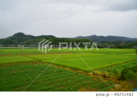 2022年夏の朝、雨降りの日豊本線延岡駅から宮崎駅までの風景 99251482