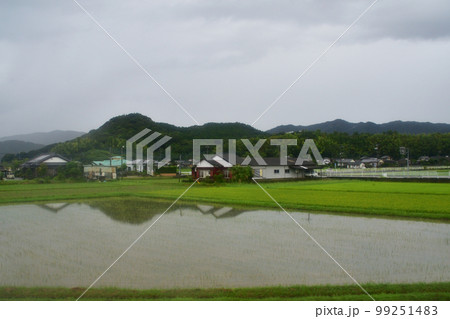 2022年夏の朝、雨降りの日豊本線延岡駅から宮崎駅までの風景 2022年夏の朝、雨降りの日豊本線延岡駅から宮崎駅までの風景 99251483