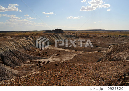 Desolate Landscape Petrified Forest Arizona 99253204
