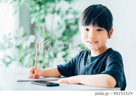 オンライン学習をする小学生の女の子 99253324