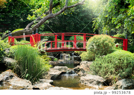 Beautiful Japanese Garden and red bridge Beautiful Japanese Garden and red bridge 99253678