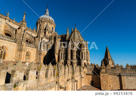 View of the roofs and dome of the Old Cathedral of Salamanca View of the roofs and dome of the Old Cathedral of Salamanca 99253876