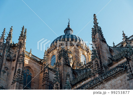 View of the roofs and dome of the Old Cathedral of Salamanca 99253877
