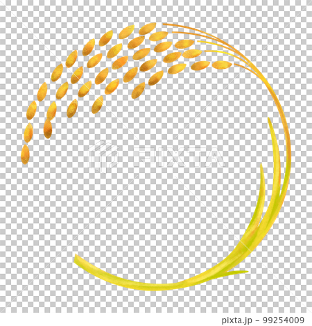 稲穂、米のイラスト 99254009