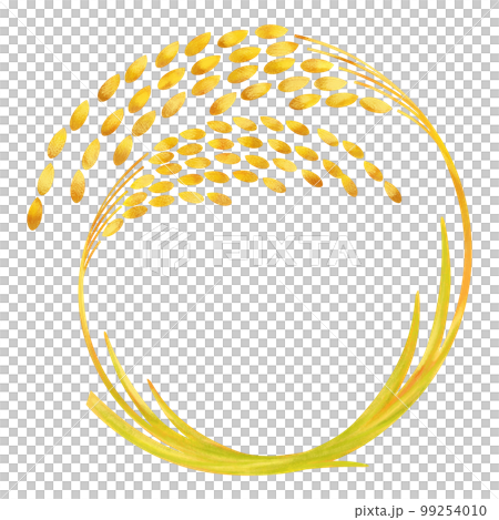 稲穂、米のイラスト 99254010