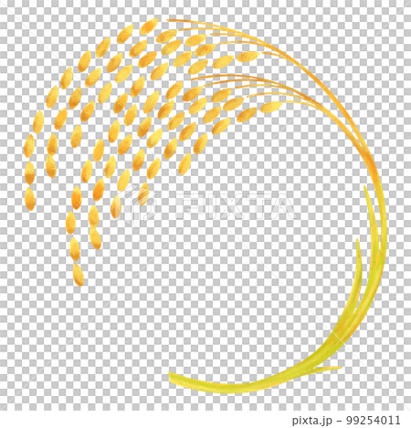 稲穂、米のイラスト 99254011