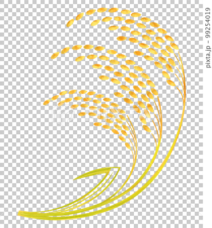 稻穗 水稻插畫 99254019