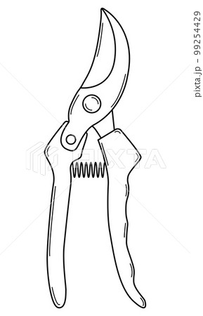 Hand drawn pruner for pruning branches. Gardening tool. Outline. Sketch. Vector. Hand drawn pruner for pruning branches. Gardening tool. Outline. Sketch. Vector. 99254429