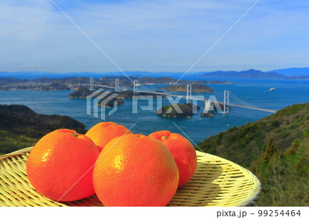 【愛媛県】ミカンと来島海峡大橋の眺望（しまなみ海道） 99254464
