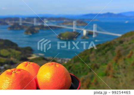 【愛媛県】ミカンと来島海峡大橋の眺望（しまなみ海道） 99254465