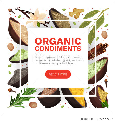 Seasoning and Spices Banner Design with Pile of Condiments in Bowl Vector Template 99255517