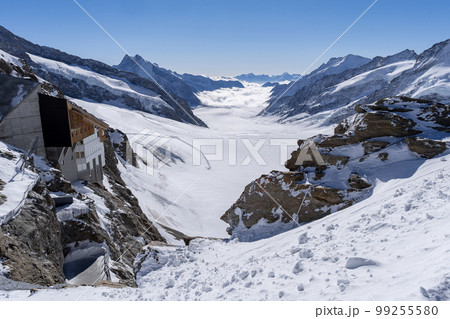 ユングフラウヨッホから眺めるアレッチ氷河 (スイス) 99255580
