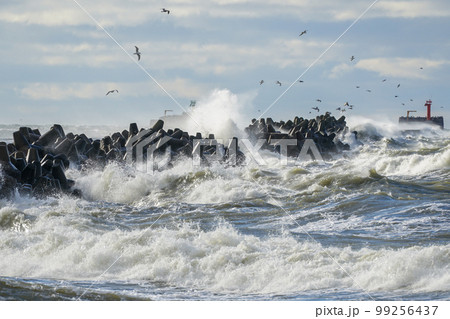 coastal storm in the baltic sea, big waves crash against the harbor breakwater 99256437