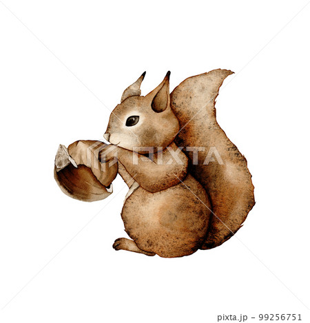 cute squirrel with nut cartoon
