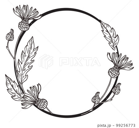 Elegant round frame with natural botany. Hand drawn flowers Elegant round frame with natural botany. Hand drawn flowers 99256773