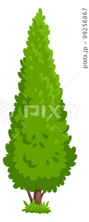 Conifer tree icon. Green cartoon park plant 99256867