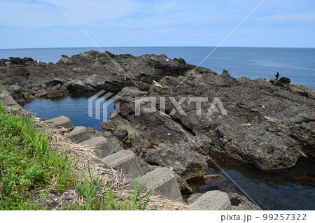 加茂海岸周辺の風景 山形県庄内浜 加茂海岸周辺の風景 山形県庄内浜 99257322