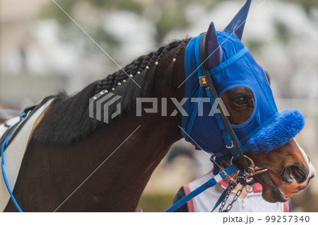 競馬の風景 競馬の風景 99257340