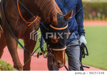 競馬の風景 競馬の風景 99257348