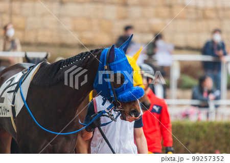 競馬の風景 99257352