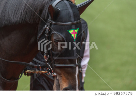 競馬の風景 競馬の風景 99257379
