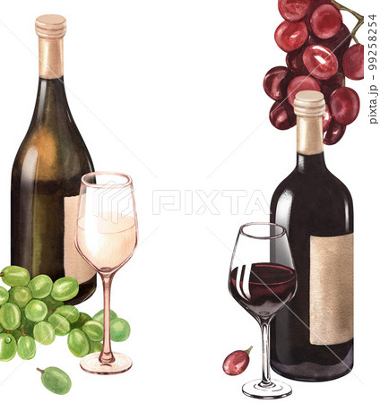 Realistic grapes wine neutral palette warm - Stock Illustration  [105302683] - PIXTA