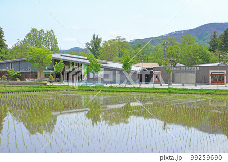 安曇野 大王わさび農場 安曇野 大王わさび農場 99259690