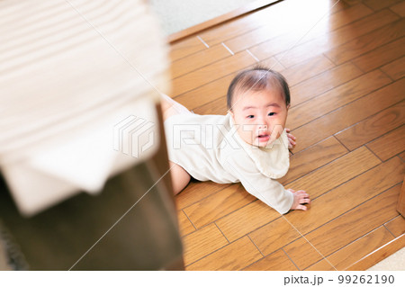 後追い 泣きながらトイレにまでついてくる赤ちゃん 99262190