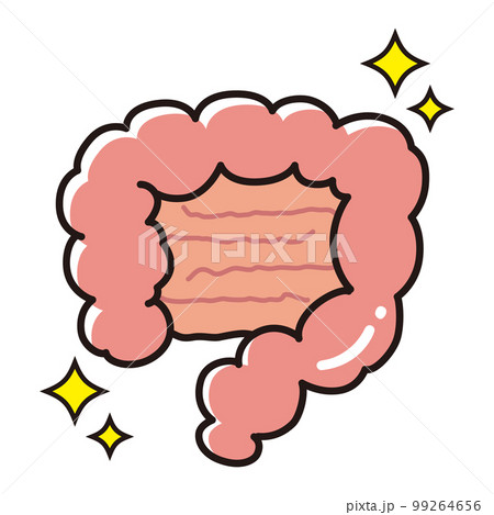 きれいで健康な腸のイラスト（大腸・小腸） 99264656