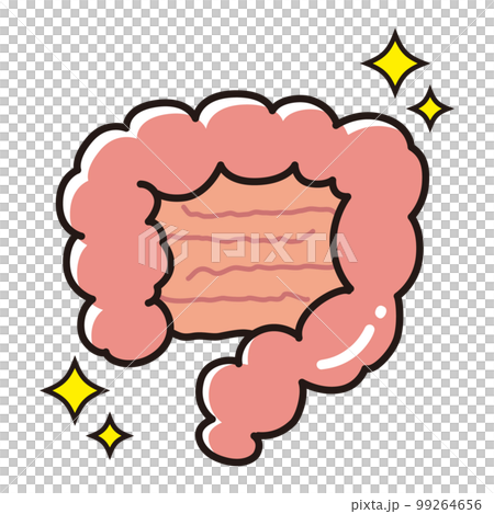 きれいで健康な腸のイラスト（大腸・小腸） 99264656