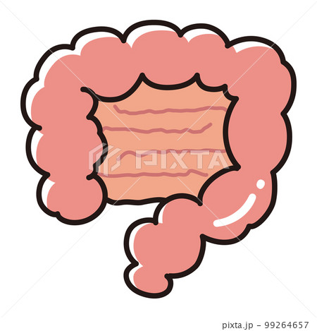 腸のイラスト（大腸・小腸） 99264657